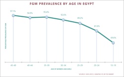 Prevalence Trends By Age: FGM in Egypt (2017)